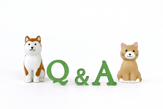 犬と猫が登場する獣医師離婚のQ&A